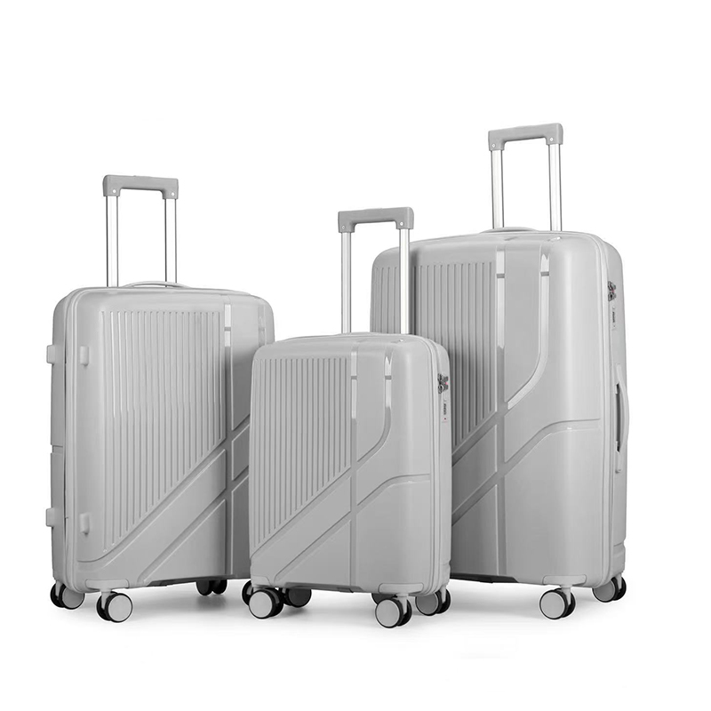 high quality pp material hot selling luggage new fashionable pp luggage