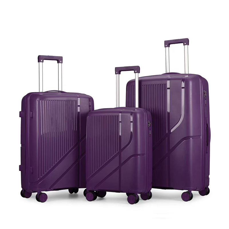 high quality pp material hot selling luggage new fashionable pp luggage